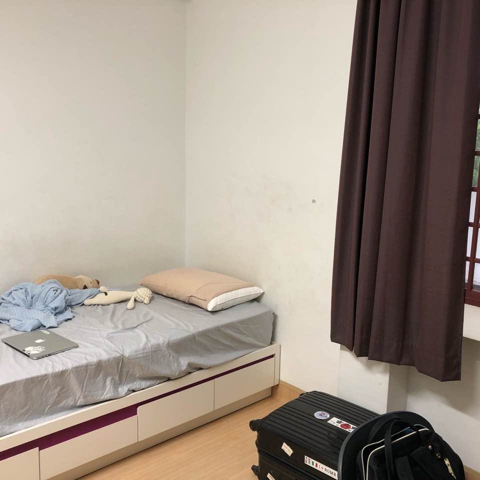 Day 337 - hzmz_ - Dayre