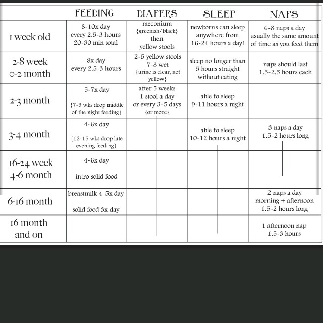 New Generation Pas Babywise Schedule Jovie1112 Dayre A Sample Chart Generated From Babywise Book