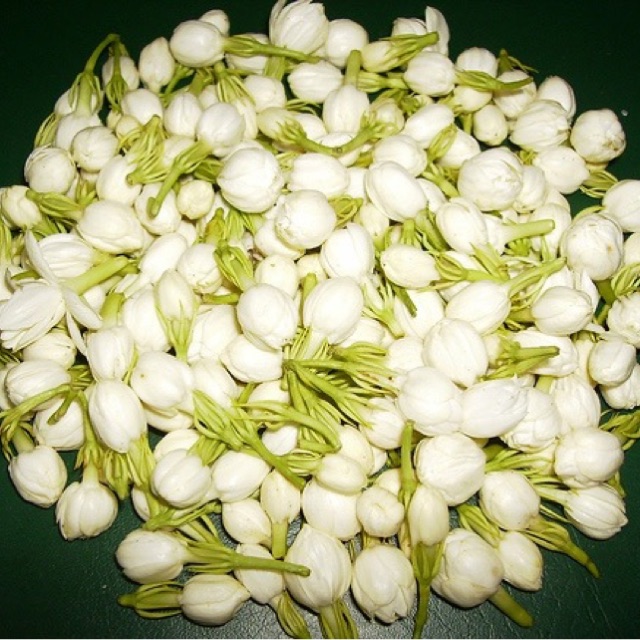 A Few Jasmine Scents makeupbox Dayre