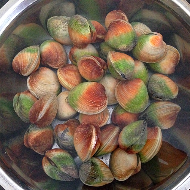 Steamed Lala / Littleneck Clams Recipe coasterkitchen Dayre
