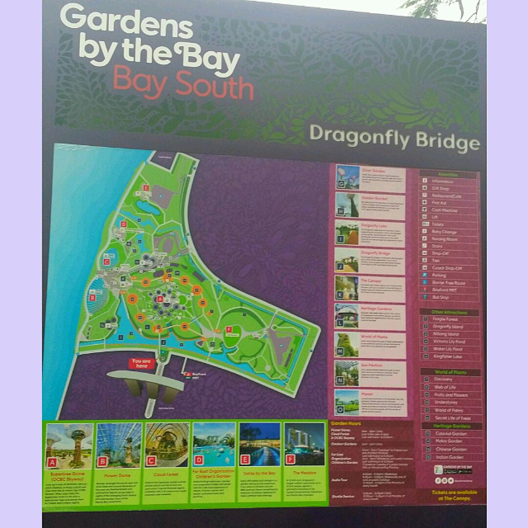 as the event was held at gardens by the bay flower field hall which was not shown in the map we walked around before eventually finding out where the - Garden By The Bay Flower Field Hall as the event was held at gardens by the bay flower field hall which was not shown in the map we walked around before eventually finding out where the - Garden By The Bay Flower Field Hall